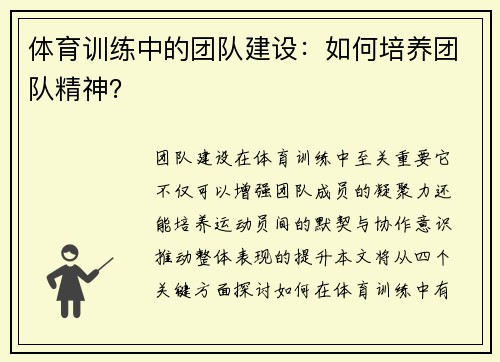 体育训练中的团队建设：如何培养团队精神？
